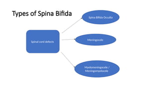 Types of Spina Bifida
Spinal cord defects
Spina Bifida Occulta
Myelomeningocele /
Meningomyelocele
Meningocele
 