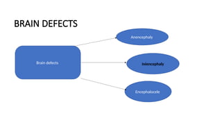 BRAIN DEFECTS
Brain defects
Anencephaly
Encephalocele
Iniencephaly
 