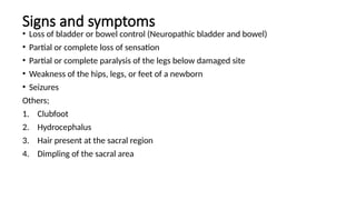 Signs and symptoms
• Loss of bladder or bowel control (Neuropathic bladder and bowel)
• Partial or complete loss of sensation
• Partial or complete paralysis of the legs below damaged site
• Weakness of the hips, legs, or feet of a newborn
• Seizures
Others;
1. Clubfoot
2. Hydrocephalus
3. Hair present at the sacral region
4. Dimpling of the sacral area
 