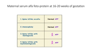 Maternal serum alfa feto-protein at 16-20 weeks of gestation
 