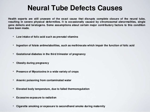 neural tube defects
