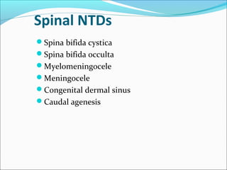 Spinal NTDs
Spina bifida cystica
Spina bifida occulta
Myelomeningocele
Meningocele
Congenital dermal sinus
Caudal agenesis
 