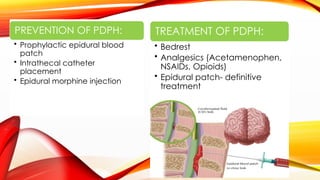 Neuraxial procedures in anesthesia and its importance | PPTX