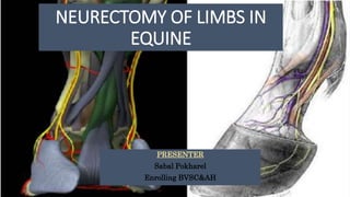 NEURECTOMY OF LIMBS IN
EQUINE
PRESENTER
Sabal Pokharel
Enrolling BVSC&AH
 