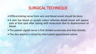 SURGICAL TECHNIQUE
Differentiating nerve from vein and blood vessel should be done.
A vein has bluish or purple colour whereas blood vessel will appear
pale at that spot after raising with tenaculum due to displacement of
blood.
The palmar digital nerve is first divided proximally and then distally.
The skin wound is closed by interrupted appositional suture.
 