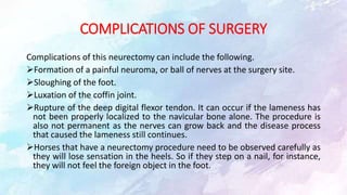 COMPLICATIONS OF SURGERY
Complications of this neurectomy can include the following.
Formation of a painful neuroma, or ball of nerves at the surgery site.
Sloughing of the foot.
Luxation of the coffin joint.
Rupture of the deep digital flexor tendon. It can occur if the lameness has
not been properly localized to the navicular bone alone. The procedure is
also not permanent as the nerves can grow back and the disease process
that caused the lameness still continues.
Horses that have a neurectomy procedure need to be observed carefully as
they will lose sensation in the heels. So if they step on a nail, for instance,
they will not feel the foreign object in the foot.
 