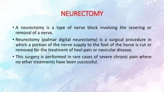 NEURECTOMY
• A neurectomy is a type of nerve block involving the severing or
removal of a nerve.
• Neurectomy (palmar digi...