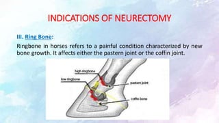 INDICATIONS OF NEURECTOMY
III. Ring Bone:
Ringbone in horses refers to a painful condition characterized by new
bone growth. It affects either the pastern joint or the coffin joint.
 