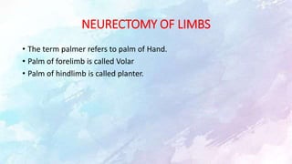 NEURECTOMY OF LIMBS
• The term palmer refers to palm of Hand.
• Palm of forelimb is called Volar
• Palm of hindlimb is called planter.
 