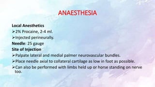 ANAESTHESIA
Local Anesthetics
2% Procaine, 2-4 ml.
Injected perineurally.
Needle: 25 gauge
Site of Injection
Palpate lateral and medial palmer neurovascular bundles.
Place needle axial to collateral cartilage as low in foot as possible.
Can also be performed with limbs held up or horse standing on nerve
too.
 