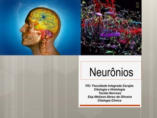 Neurônios
FIC: Faculdade Integrada Carajás
Citologia e Histologia
Tecido Nervoso
Esp.Welison Abreu de Oliveira
Citologia Clínica
 