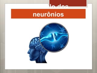 Estimulo dos
neurônios
 