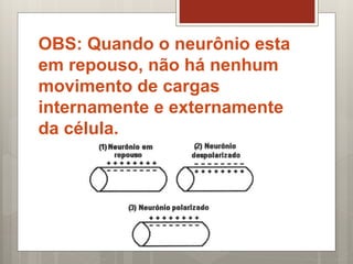 OBS: Quando o neurônio esta
em repouso, não há nenhum
movimento de cargas
internamente e externamente
da célula.
 