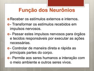Função dos Neurônios
Receber os estímulos externos e internos.
- Transformar os estímulos recebidos em
impulsos nervosos.
- Passar estes impulsos nervosos para órgãos
e tecidos responsáveis por executar as ações
necessárias.
- Controlar de maneira direta e rápida as
principais partes do corpo.
- Permite aos seres humanos a interação com
o meio ambiente e outros seres vivos.
 