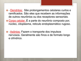  - Dendritos: São prolongamentos celulares curtos e
ramificados. São eles que recebem as informações
de outros neurônios ou dos receptores sensoriais.
 Corpo celular: É a parte do neurônio composto por,
núcleo, citoplasma, reticulo endoplasmático rugoso.
 - Axônios: Fazem o transporte dos impulsos
nervosos. Geralmente são finos e de formato longo
e cilíndrico.
 