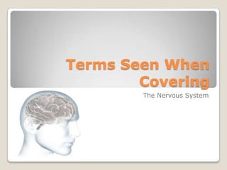 Terms Seen When Covering The Nervous System 
