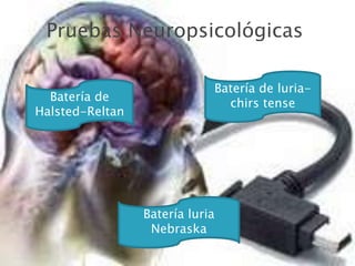 Pruebas NeuropsicológicasBatería de luria-chirs tenseBatería de Halsted-ReltanBatería luria Nebraska