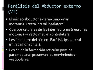 Parálisis del Abductor externo
 (VI)
 El núcleo abductor externo (neuronas
  motoras)→recto lateral ipsolateral
 Cuerpos celulares de las interneuronas (neuronas
  motoras) → recto medial contralateral.
 Lesión dentro del núcleo: Parálisis ipsolateral
  (mirada horizontal).
 Lesión de la formación reticular pontina
  paramediana: preservan los movimientos
  vestibulares.
 
