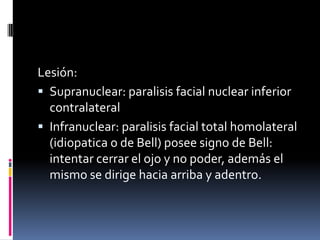 Lesión:
 Supranuclear: paralisis facial nuclear inferior
  contralateral
 Infranuclear: paralisis facial total homolateral
  (idiopatica o de Bell) posee signo de Bell:
  intentar cerrar el ojo y no poder, además el
  mismo se dirige hacia arriba y adentro.
 