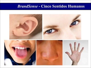 BrandSense - Cinco Sentidos Humanos
     Os Cinco Sentidos
 