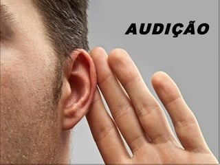 AUDIÇÃO
 