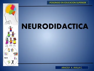 POSGRADO EN EDUCACION SUPERIOR 
NEURODIDACTICA 
ARACELY A. AVILLA C. 
 