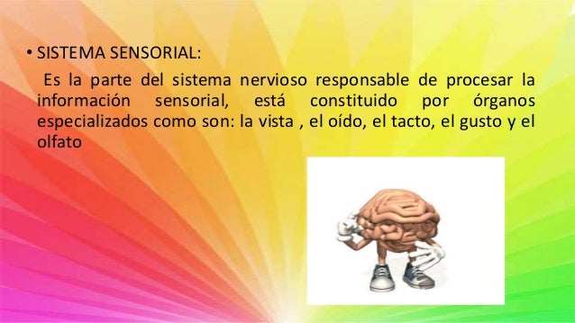 Resultado de imagen para informacion sensorial