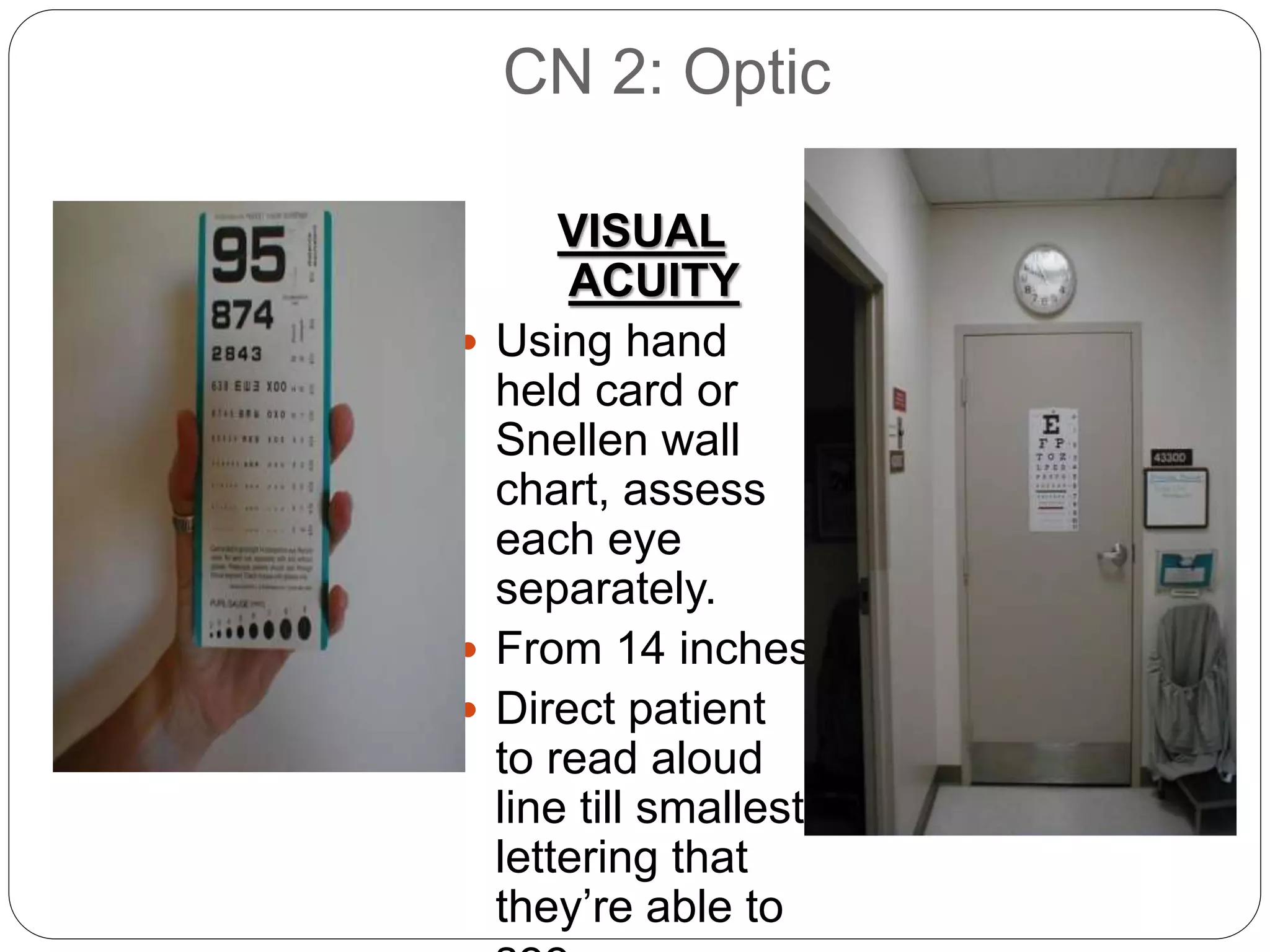 Neuro. system | PPTX