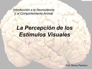 Introducción a la Neurociencia
y al Comportamiento Animal

La Percepción de los
Estímulos Visuales

Prof. Renny Pacheco

 