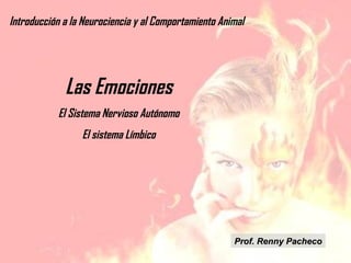 Introducción a la Neurociencia y al Comportamiento Animal

Las Emociones
El Sistema Nervioso Autónomo
El sistema Límbico

Prof. Renny Pacheco

 