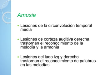 Amusia
 Lesiones de la circunvolución temporal
media
 Lesiones de corteza auditiva derecha
trastornan el reconocimiento de la
melodía y la armonía
 Lesiones del lado izq y derecho
trastornan el reconocimiento de palabras
en las melodías.
 