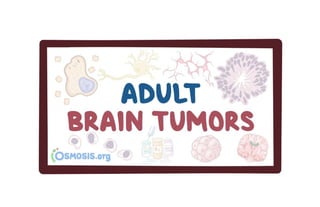 Osmosis: Adult Brain Tumors