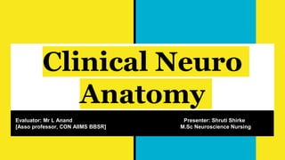 Clinical Neuro
Anatomy
Evaluator: Mr L Anand Presenter: Shruti Shirke
[Asso professor, CON AIIMS BBSR] M.Sc Neuroscience Nursing
 
