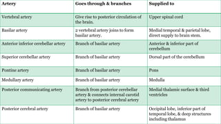 Artery Goes through & branches Supplied to
Vertebral artery Give rise to posterior circulation of
the brain.
Upper spinal cord
Basilar artery 2 vertebral artery joins to form
basilar artery.
Medial temporal & parietal lobe,
direct supply to brain stem.
Anterior inferior cerebellar artery Branch of basilar artery Anterior & inferior part of
cerebellum
Superior cerebellar artery Branch of basilar artery Dorsal part of the cerebellum
Pontine artery Branch of basilar artery Pons
Medullary artery Branch of basilar artery Medulla
Posterior communicating artery Branch from posterior cerebellar
artery & connects internal carotid
artery to posterior cerebral artery
Medial thalamic surface & third
ventricles
Posterior cerebral artery Branch of basilar artery Occipital lobe, inferior part of
temporal lobe, & deep structures
including thalamus
 