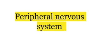 Peripheral nervous
system
 