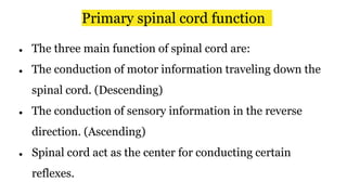 Primary spinal cord function
● The three main function of spinal cord are:
● The conduction of motor information traveling down the
spinal cord. (Descending)
● The conduction of sensory information in the reverse
direction. (Ascending)
● Spinal cord act as the center for conducting certain
reflexes.
 