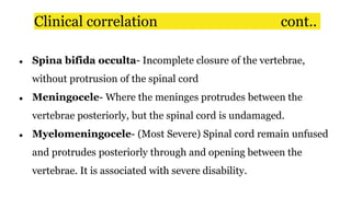 Clinical correlation cont..
● Spina bifida occulta- Incomplete closure of the vertebrae,
without protrusion of the spinal cord
● Meningocele- Where the meninges protrudes between the
vertebrae posteriorly, but the spinal cord is undamaged.
● Myelomeningocele- (Most Severe) Spinal cord remain unfused
and protrudes posteriorly through and opening between the
vertebrae. It is associated with severe disability.
 