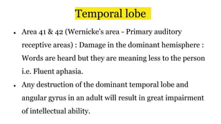 Temporal lobe
● Area 41 & 42 (Wernicke’s area - Primary auditory
receptive areas) : Damage in the dominant hemisphere :
Words are heard but they are meaning less to the person
i.e. Fluent aphasia.
● Any destruction of the dominant temporal lobe and
angular gyrus in an adult will result in great impairment
of intellectual ability.
 