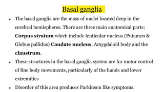 Basal ganglia
● The basal ganglia are the mass of nuclei located deep in the
cerebral hemispheres. There are three main anatomical parts:
Corpus stratum which include lenticular nucleus (Putamen &
Globus pallidus) Caudate nucleus, Amygdaloid body and the
claustrum.
● These structures in the basal ganglia system are for motor control
of fine body movements, particularly of the hands and lower
extremities
● Disorder of this area produces Parkinson like symptoms.
 