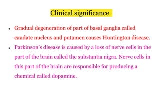 Clinical significance
● Gradual degeneration of part of basal ganglia called
caudate nucleus and putamen causes Huntington disease.
● Parkinson’s disease is caused by a loss of nerve cells in the
part of the brain called the substantia nigra. Nerve cells in
this part of the brain are responsible for producing a
chemical called dopamine.
 