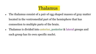 Thalamus
● The thalamus consist of a pair of egg shaped masses of gray matter
located in the ventromedial part of the hemisphere that has
connection to multiple parts of the brain.
● Thalamus is divided into anterior, posterior & lateral groups and
each group has its own specific nuclei.
 
