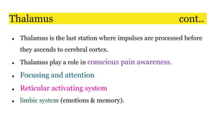 Thalamus cont..
● Thalamus is the last station where impulses are processed before
they ascends to cerebral cortex.
● Thalamus play a role in conscious pain awareness.
● Focusing and attention
● Reticular activating system
● limbic system (emotions & memory).
 