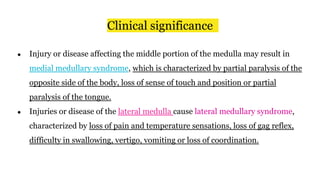 Clinical significance
● Injury or disease affecting the middle portion of the medulla may result in
medial medullary syndrome, which is characterized by partial paralysis of the
opposite side of the body, loss of sense of touch and position or partial
paralysis of the tongue.
● Injuries or disease of the lateral medulla cause lateral medullary syndrome,
characterized by loss of pain and temperature sensations, loss of gag reflex,
difficulty in swallowing, vertigo, vomiting or loss of coordination.
 