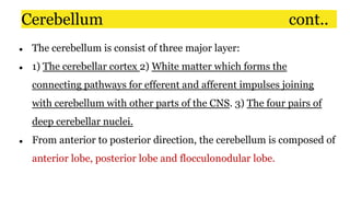 Cerebellum cont..
● The cerebellum is consist of three major layer:
● 1) The cerebellar cortex 2) White matter which forms the
connecting pathways for efferent and afferent impulses joining
with cerebellum with other parts of the CNS. 3) The four pairs of
deep cerebellar nuclei.
● From anterior to posterior direction, the cerebellum is composed of
anterior lobe, posterior lobe and flocculonodular lobe.
 