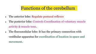 Functions of the cerebellum
● The anterior lobe: Regulate postural reflexes
● The posterior lobe: Controls Coordination of voluntary muscle
activity & muscle tone.
● The floccunodular lobe: It has the primary connection with
vestibular apparatus for coordination of location in space and
movement.
 