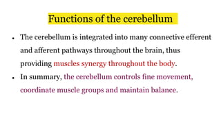 ● The cerebellum is integrated into many connective efferent
and afferent pathways throughout the brain, thus
providing muscles synergy throughout the body.
● In summary, the cerebellum controls fine movement,
coordinate muscle groups and maintain balance.
Functions of the cerebellum
 