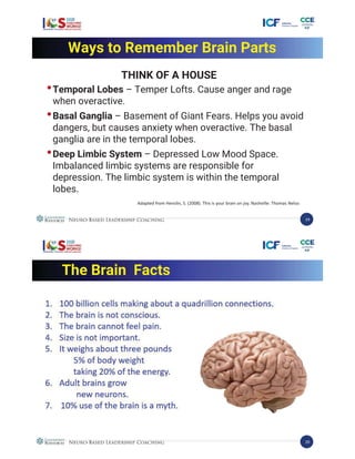 Overactive Rage System Neuro Based Leadershing Coaching by Coach Eval Wari, ACC | PDF | Web ...