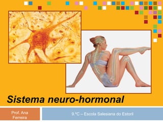 Sistema neuro-hormonal
Prof. Ana   9.ºC – Escola Salesiana do Estoril
Ferreira
 