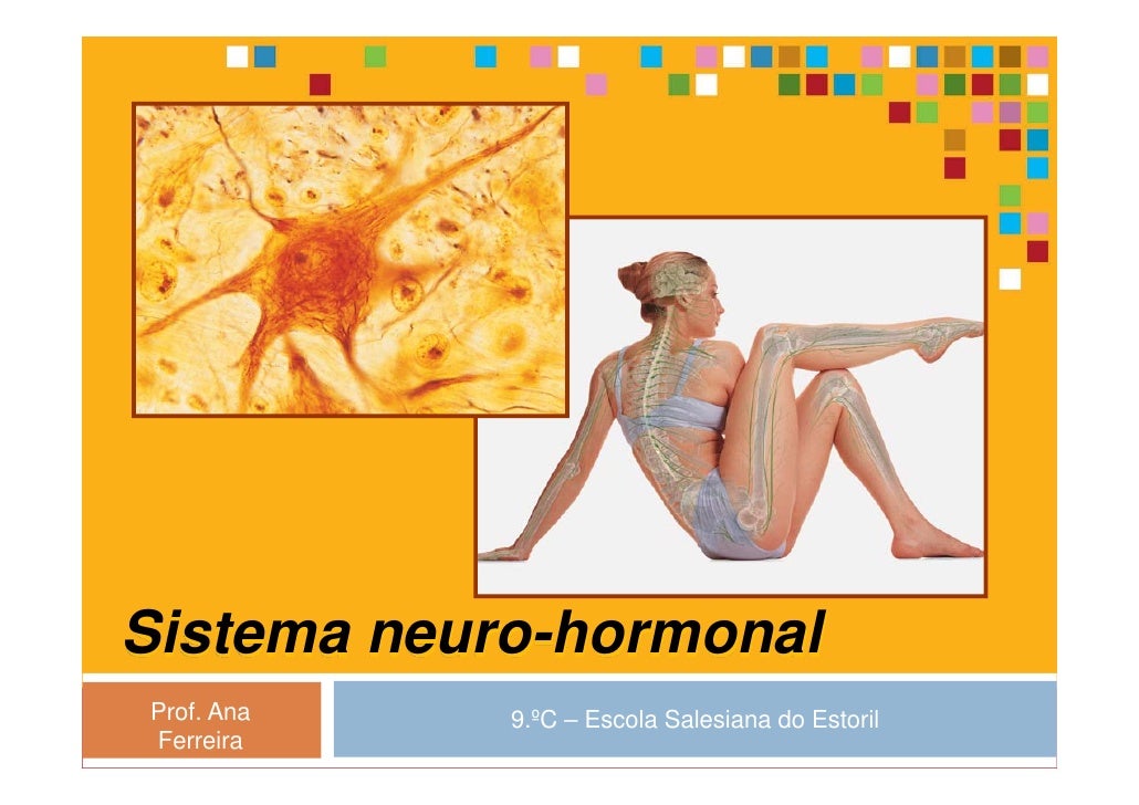 Sistema neuro-hormonal
Prof. Ana   9.ºC – Escola Salesiana do Estoril
Ferreira
 