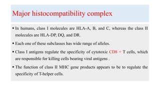 Major histocompatibility complex
 In humans, class I molecules are HLA-A, B, and C, whereas the class II
molecules are HLA-DP, DQ, and DR.
 Each one of these subclasses has wide range of alleles.
 Class I antigens regulate the specificity of cytotoxic CD8 + T cells, which
are responsible for killing cells bearing viral antigens .
 The function of class II MHC gene products appears to be to regulate the
specificity of T-helper cells.
 